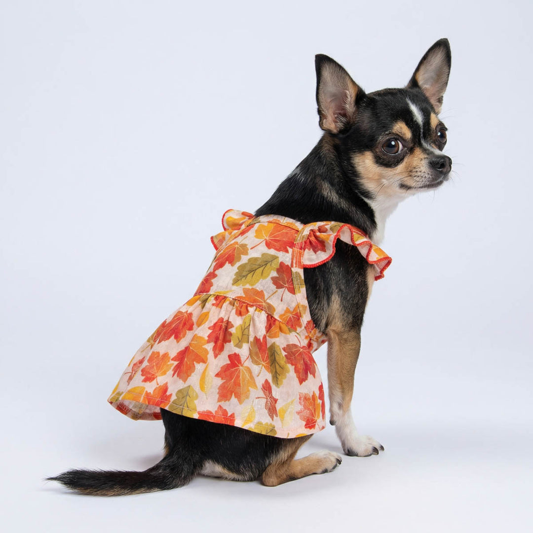 fall dog dress Amazon.com : Vehomy 2-Pack Thanksgiving Dog Cat Dress