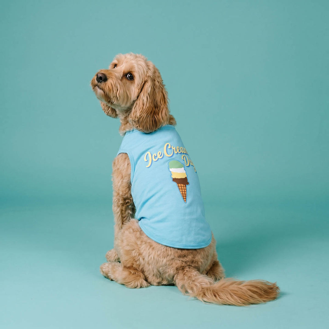 Dog dressed in a blue dog t-shirt with an ice cream cone design on a teal background