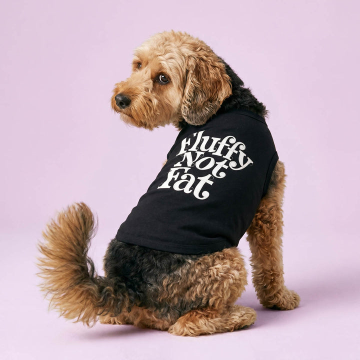 Small dog sitting on a pink background in a black dog t-shirt