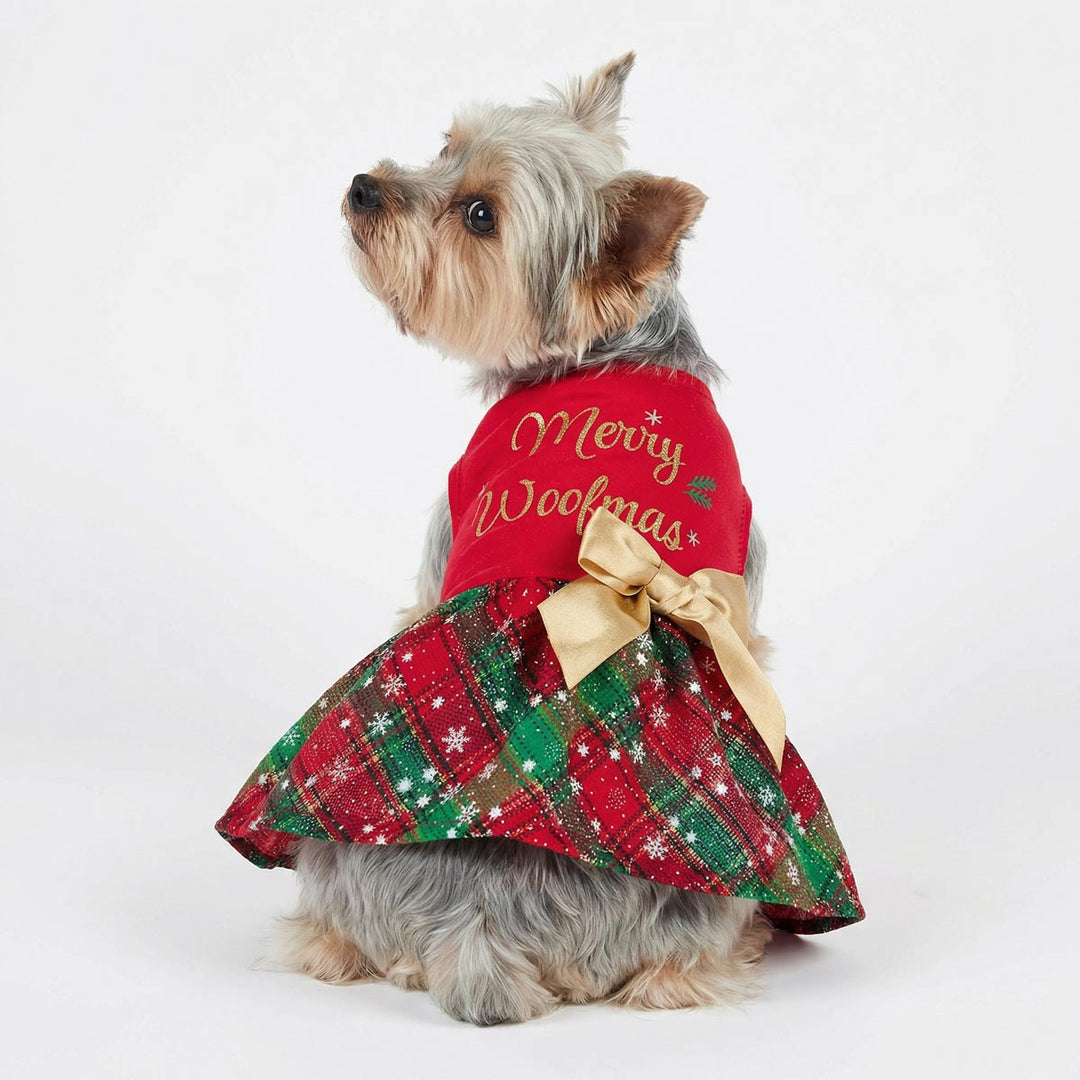 Back view of Yorkie sitting with a red and green Christmas dog dress with 'merry woofmas' lettering