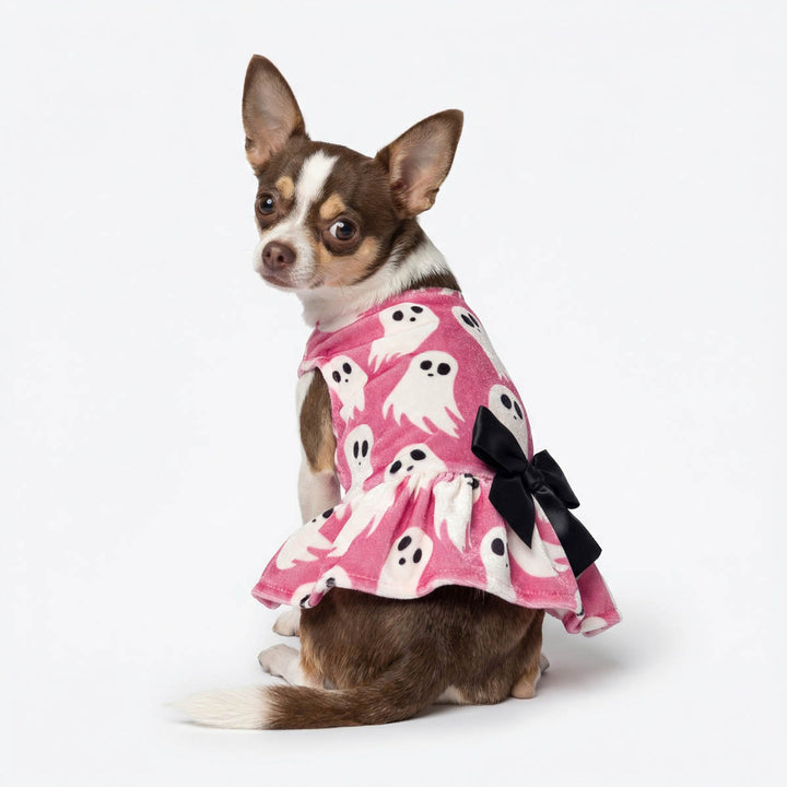 Small dog wearing a pink dress with ghost patterns and a black bow on a white background
