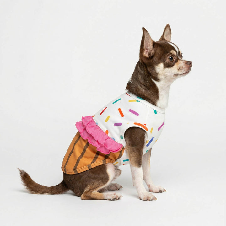 Cute dog modeling a cupcake dog costume with sprinkle print top and skirt design