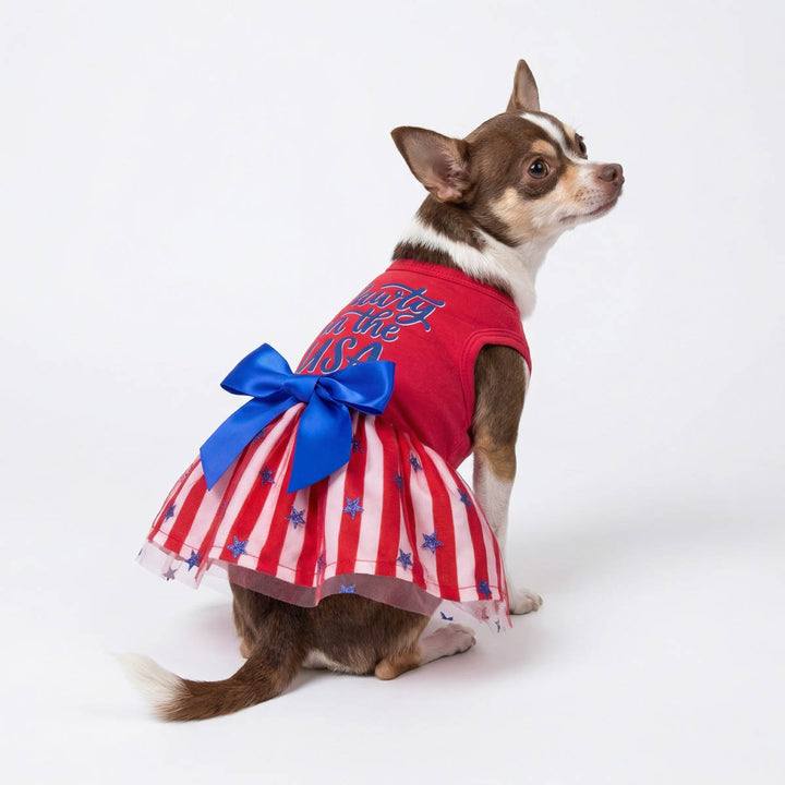 Small dog wearing a dog patriotic dress with a blue bow on a white background