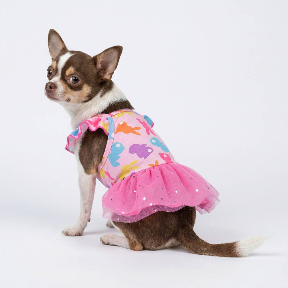 Cute dog modeling Easter bunny dog dress with sparkly pink tutu