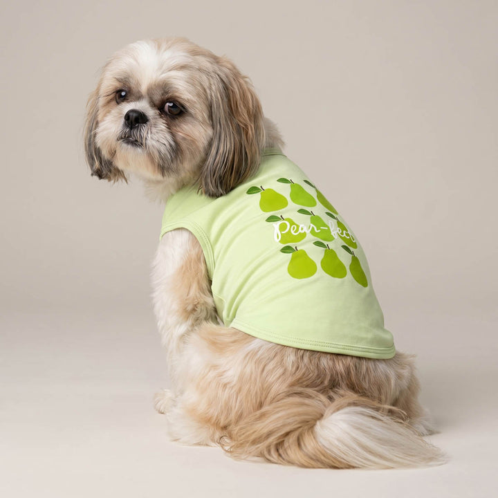 Small dog wearing a green dog t-shirt with pear design on a beige background