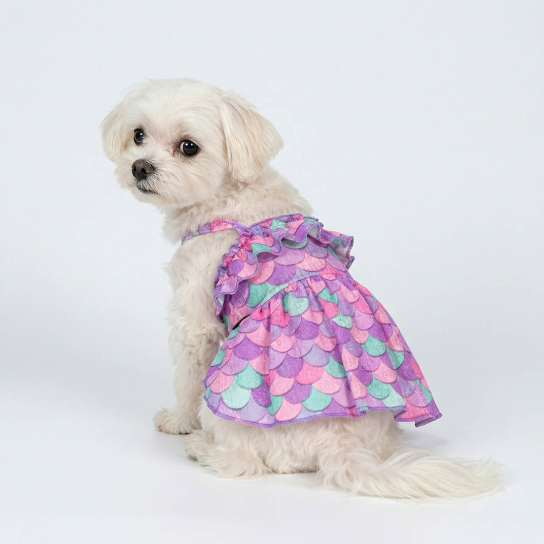 Maltese looks back with a summer dog dress with mermaid prints