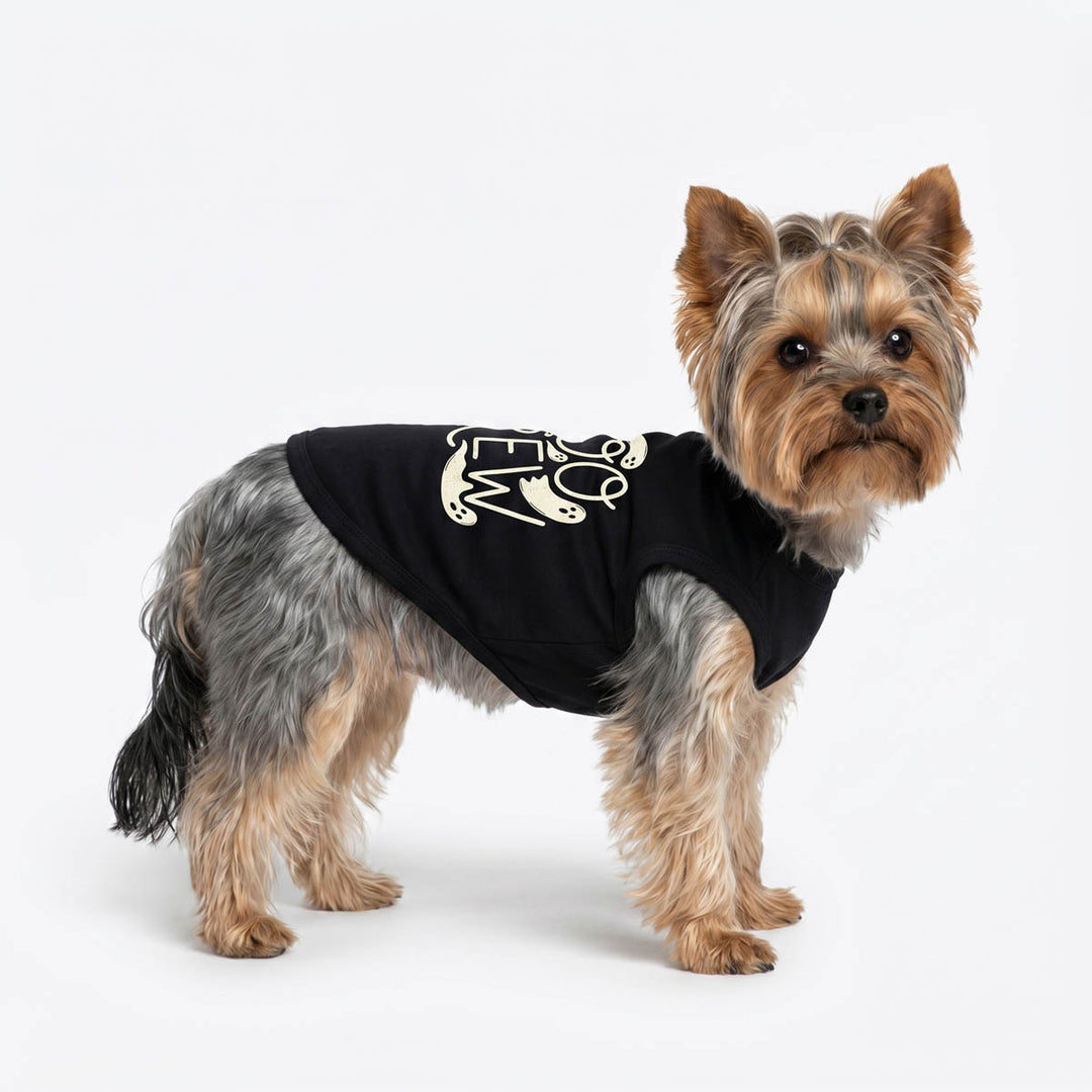 Yorkie standing on a white background with a black Halloween shirt for dogs