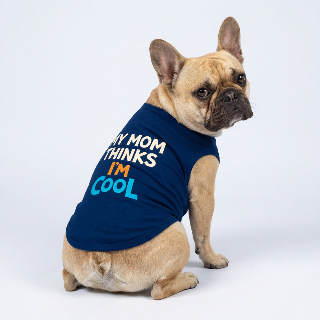 French bulldog wearing a navy dog tank top with “my mom thinks i am cool” lettering