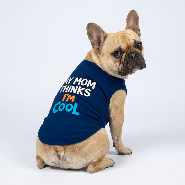 French bulldog wearing a navy dog tank top with “my mom thinks i am cool” lettering