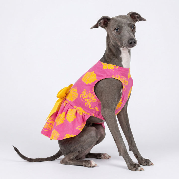 Greyhound style dog modeling birthday dog dress in pink