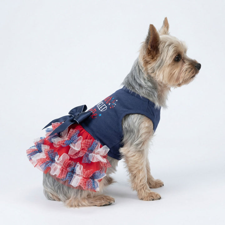 Yorkie sitting in a 4th of July dress for dogs with bowknot design