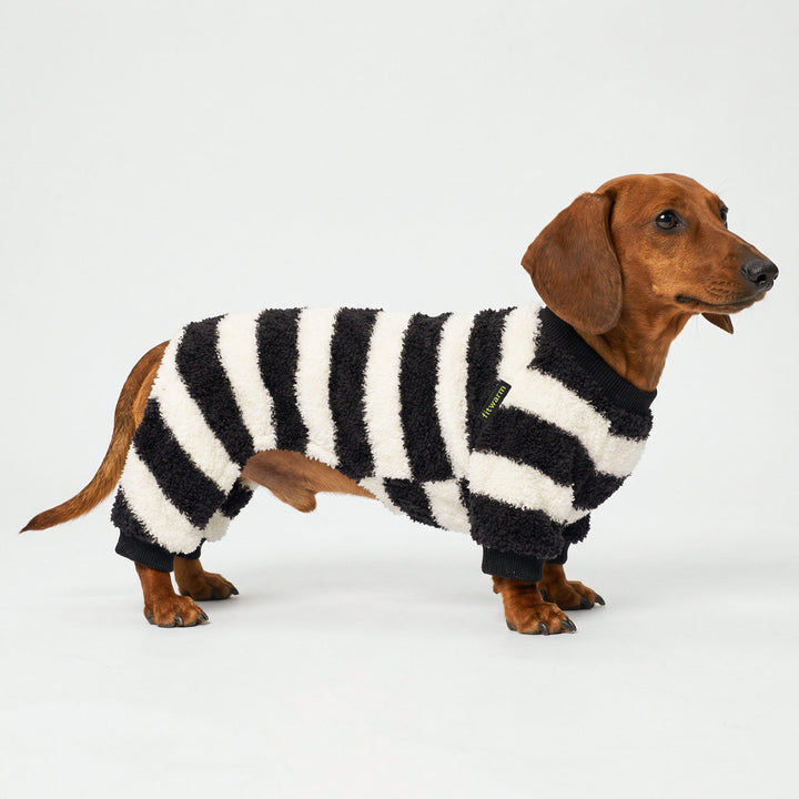 Dachshund wearing striped dog pajamas on clean studio background