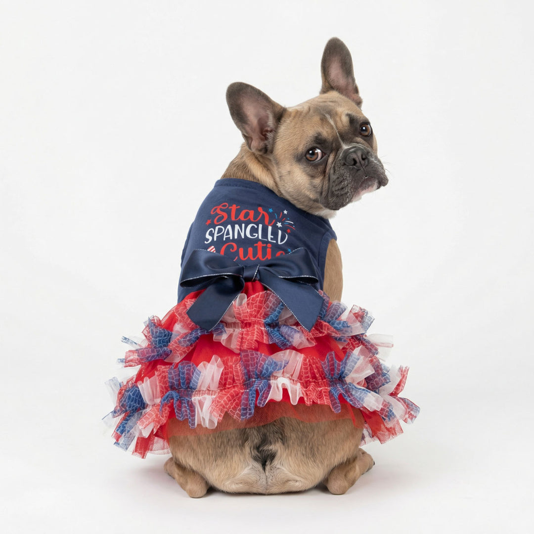 Pug wearing a patriotic dog dress with 'star spangled cute' lettering