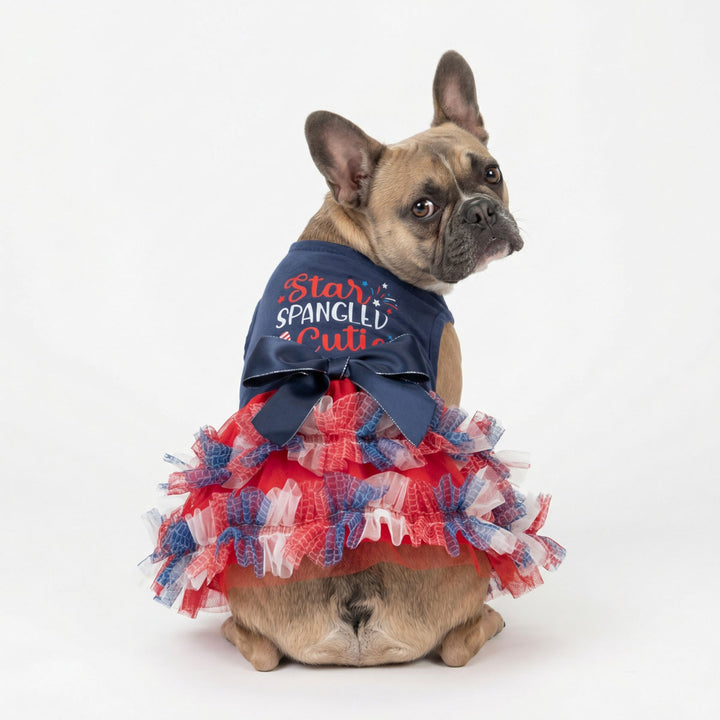 Pug wearing a patriotic dog dress with 'star spangled cute' lettering