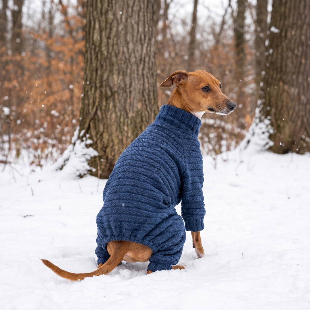 Back view of a dog sitting on a snowy forest with a cozy dog knite pajamas