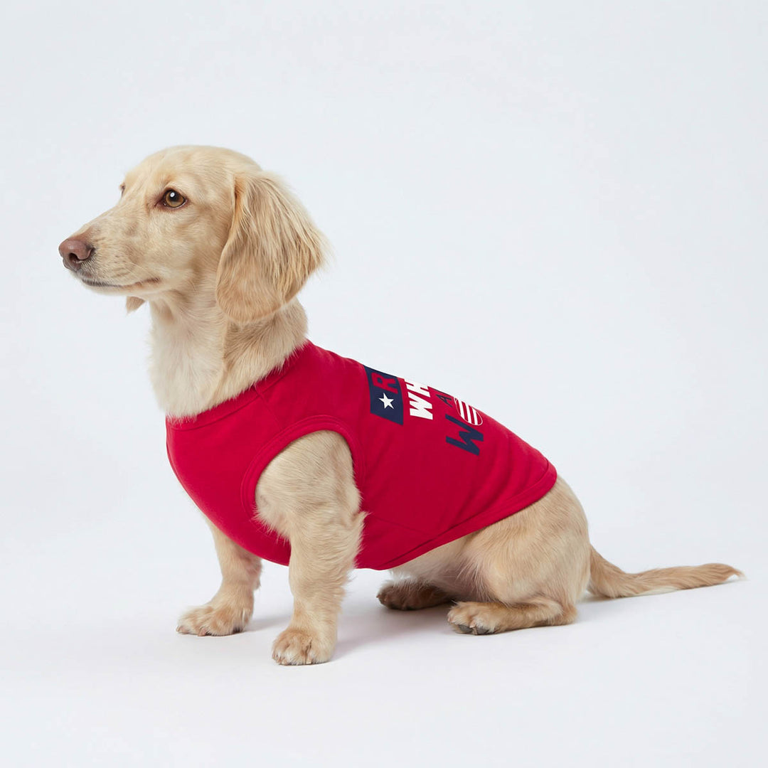 Dachshund wearing a red 4th of July shirt for dogs with text on a white background