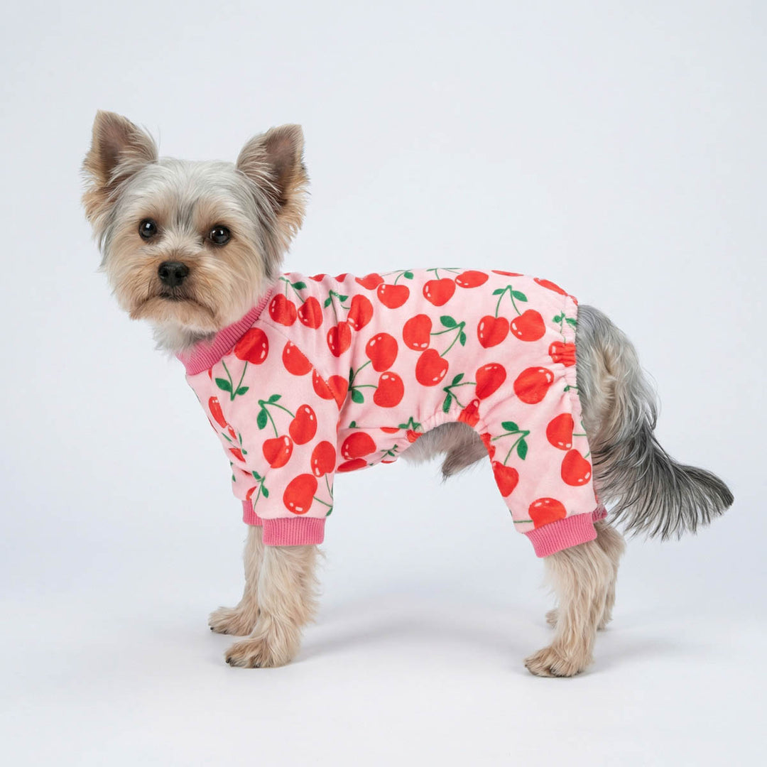 Cute dog dressed in cute pajamas for dogs with soft pink tones and cherry design