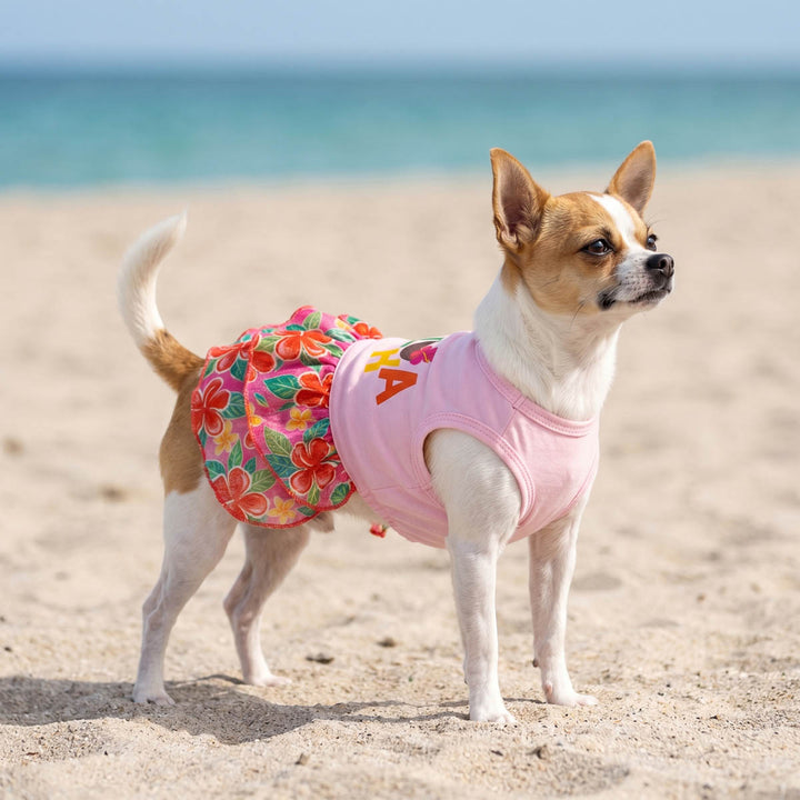 Small dog wearing a Hawaiian dog tutu dress and standing on a beach