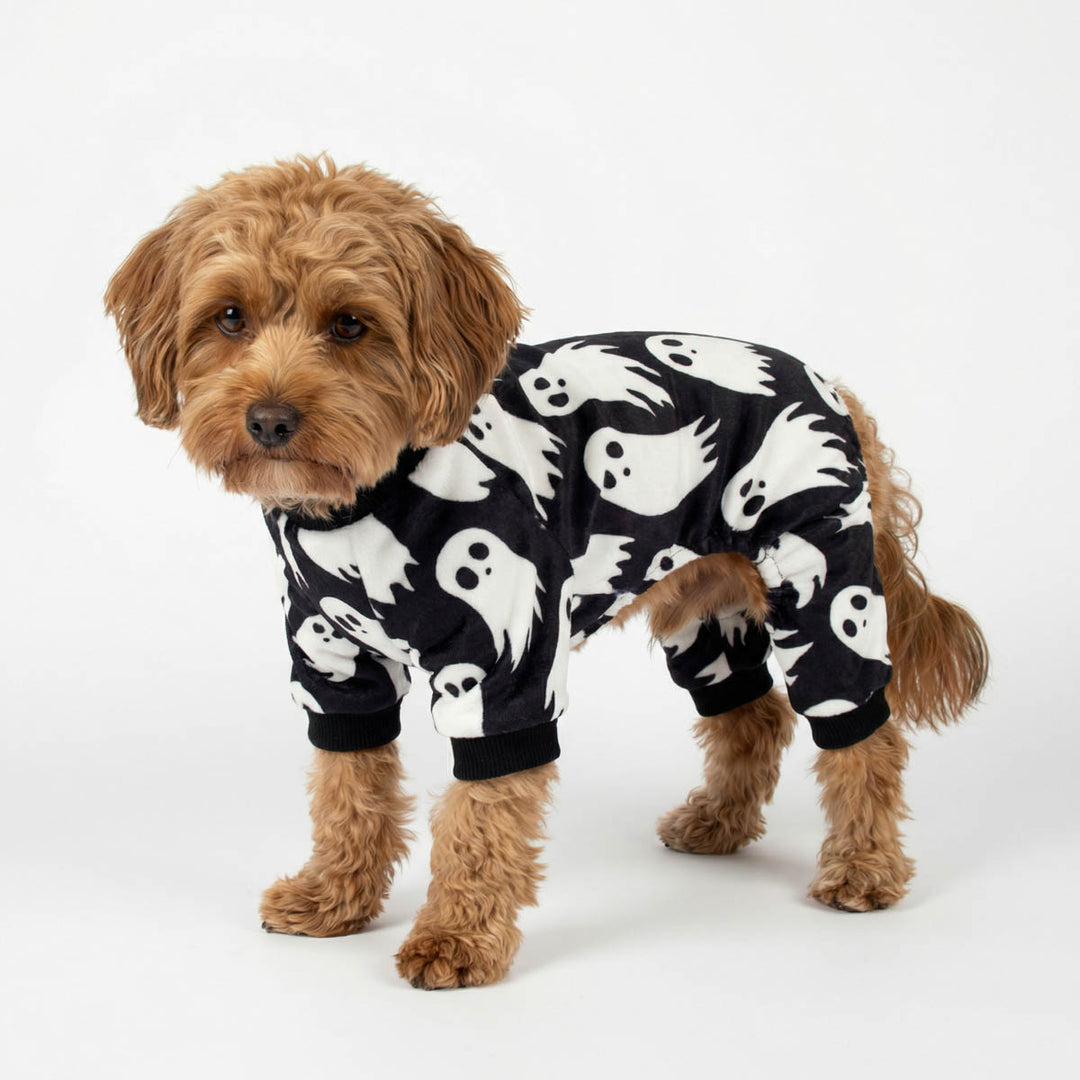 Poodle standing in a white background with a spooky Halloween pajamas for dogs