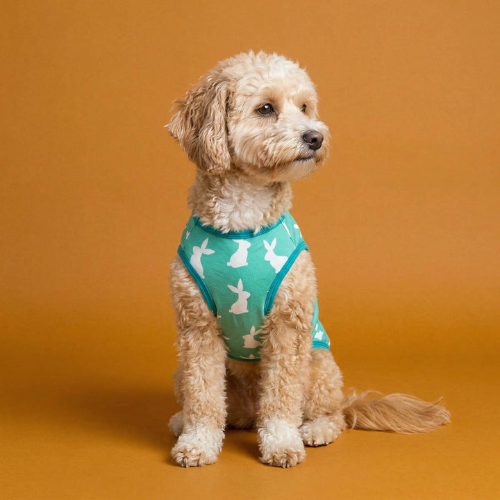 Dog wearing a green dog Easter tank top with white bunny patterns on an orange background
