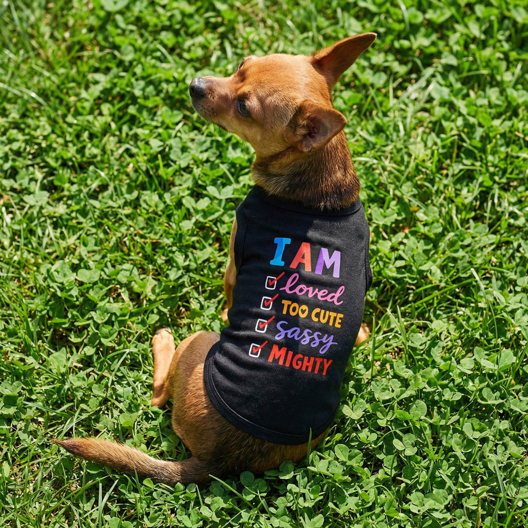Dog wearing a black dog t-shirt with colorful text on grass