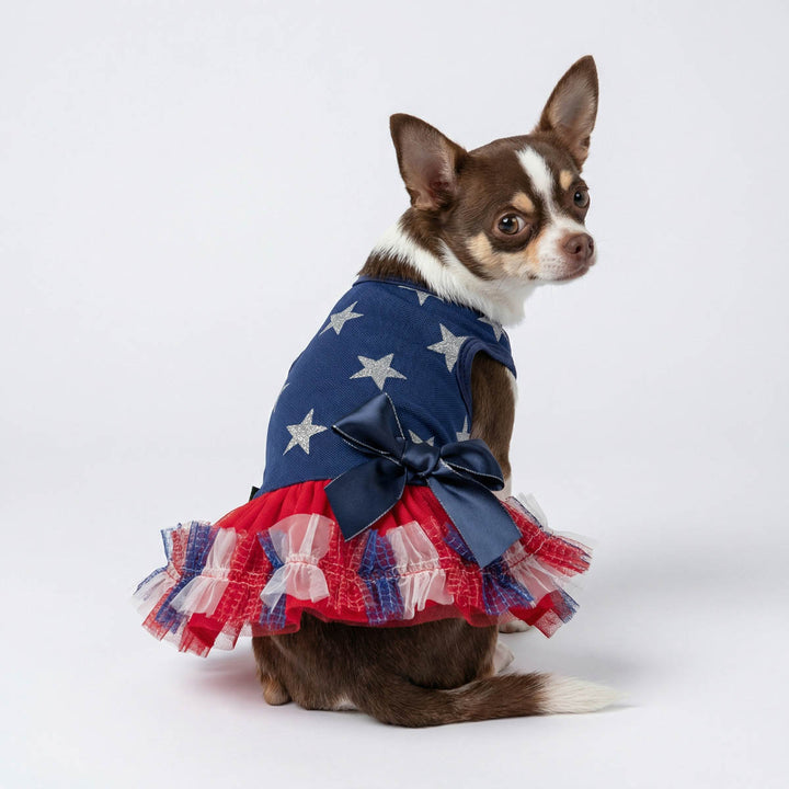 Chihuahua in a patriotic dog tutu with star and bowknot design