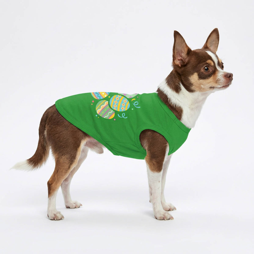 Chihuahua standing in a white background with a Easter dog tshirt