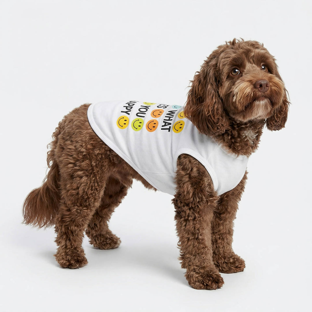 Small dog standing in a white background with a funny summer shirt for dogs