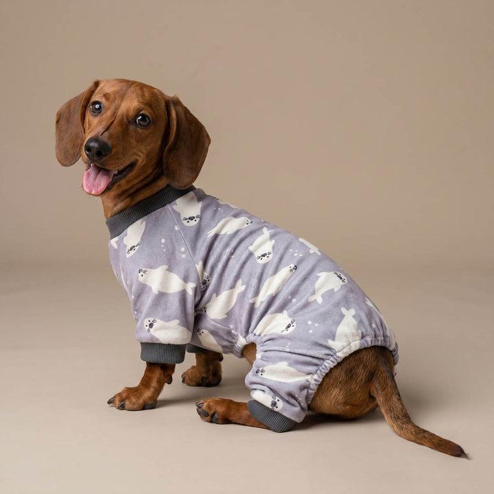 Soft pajamas for dogs worn by a Dachshund sitting on a beige background