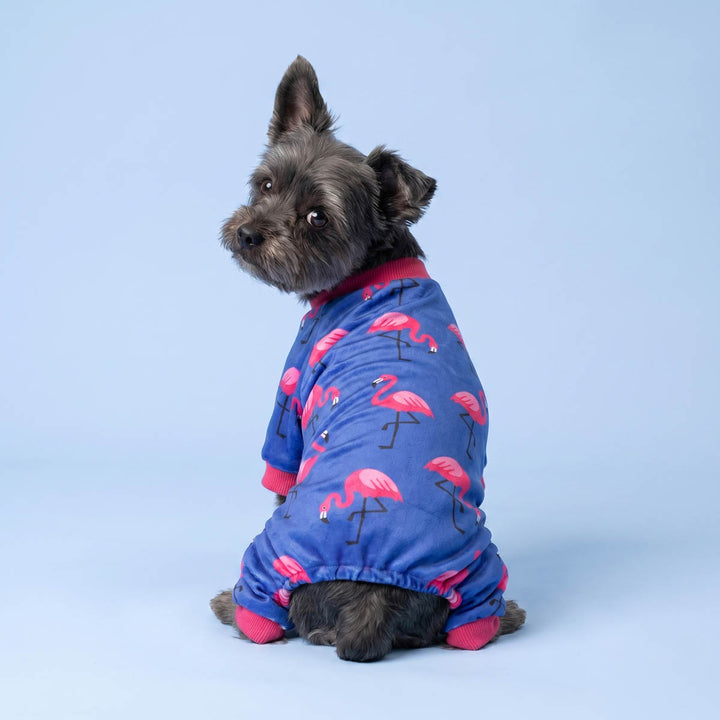 Dog wearing a blue onesie for dogs with pink flamingo pattern on a light blue background