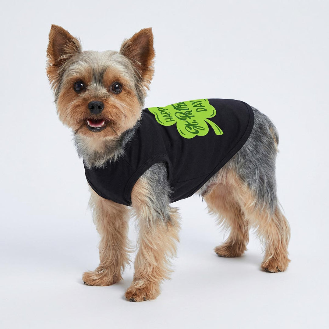 Yorkie dressed in a St. Patrick's Day dog tank top