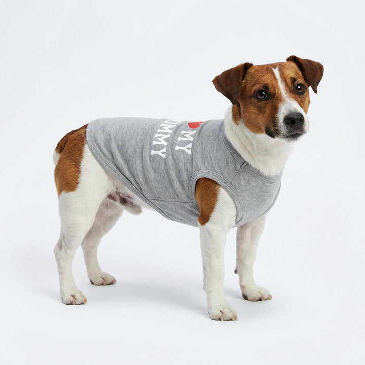 Dog wearing a gray dog shirt with “I Love My Mommy” lettering on white background