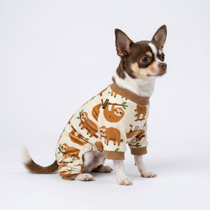 Chihuahua sitting with a beige sloth pajamas for dogs