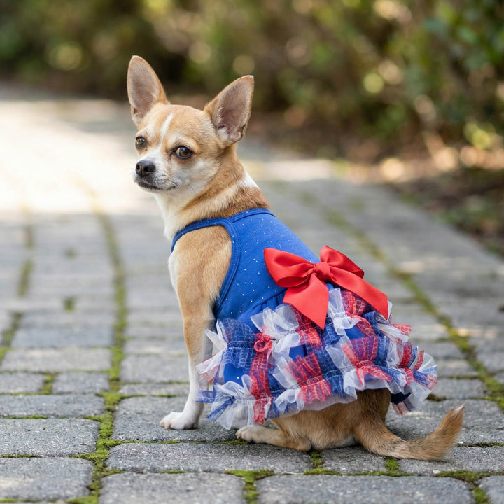 Chihuahua wearing a patriotic dog tutu dress and sitting on the road