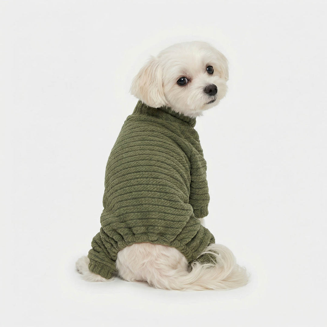 Back view of small dog in a green dog knitted pajamas