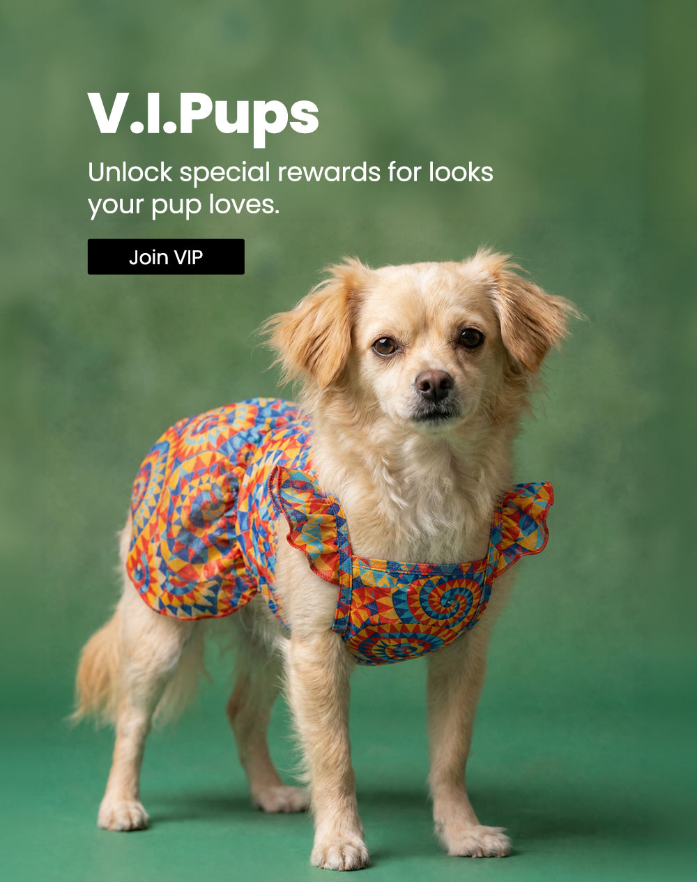 Dog wearing a colorful dog Hawaiian dress with V.I.Pups branding on a green background