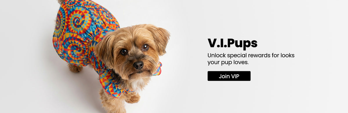 Dog wearing a colorful dress for dogs with V.I.Pups branding on a white background
