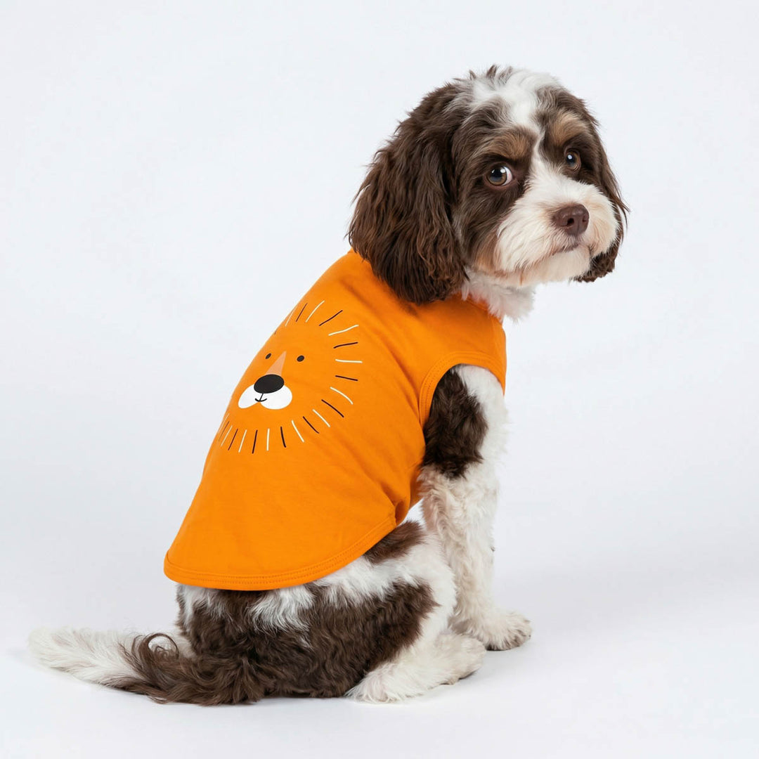 Dog wearing an orange shirt for dogs with a lion design on a white background