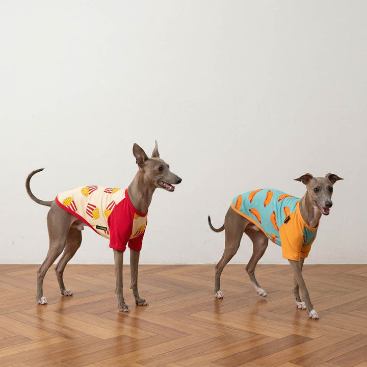 Two dogs wearing colorful shirts for dogs on a wooden floor with a white background