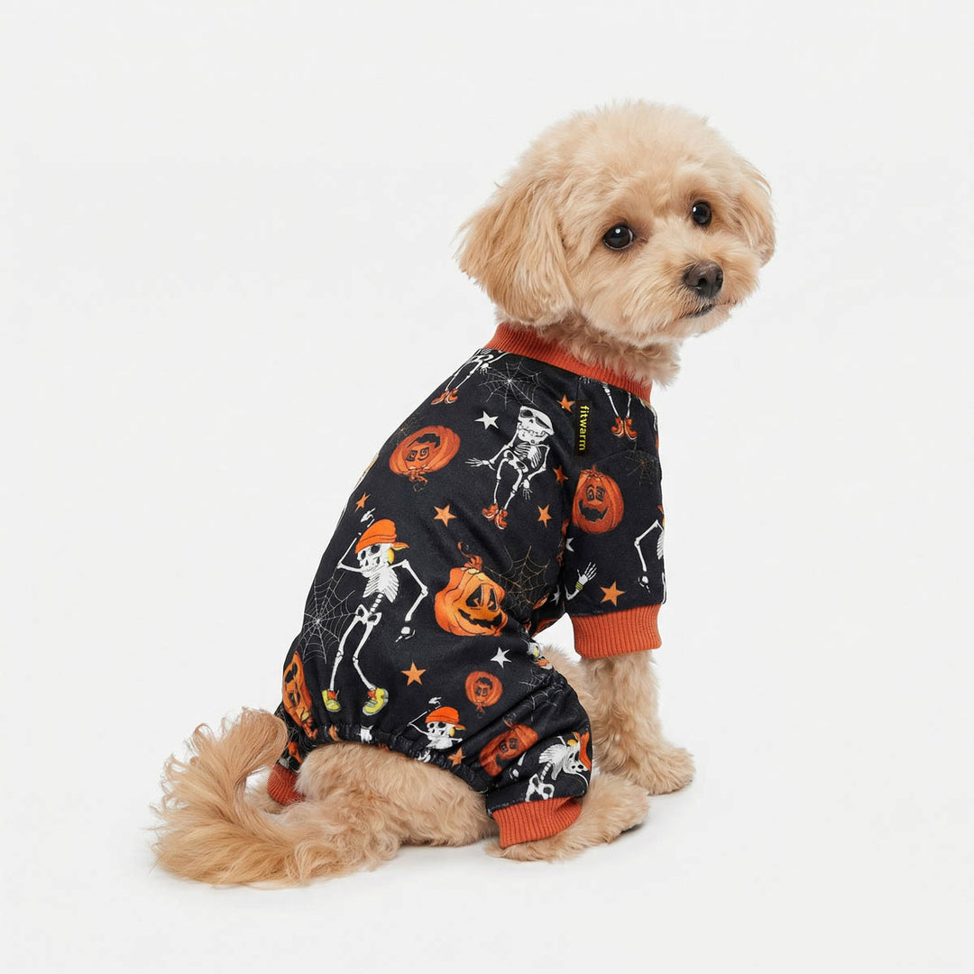 Small dog in a spooky dog Halloween onesie with scary prints