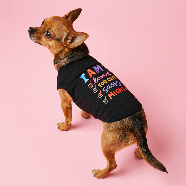 Chihuahua standing in a pink background in a black summer dog t shirt