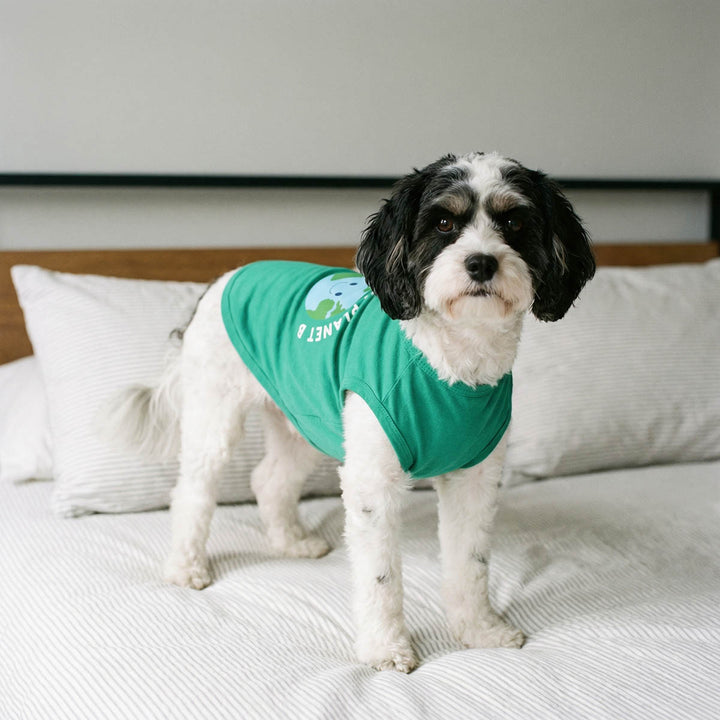 Dog wearing a green shirt for dogs on a bed