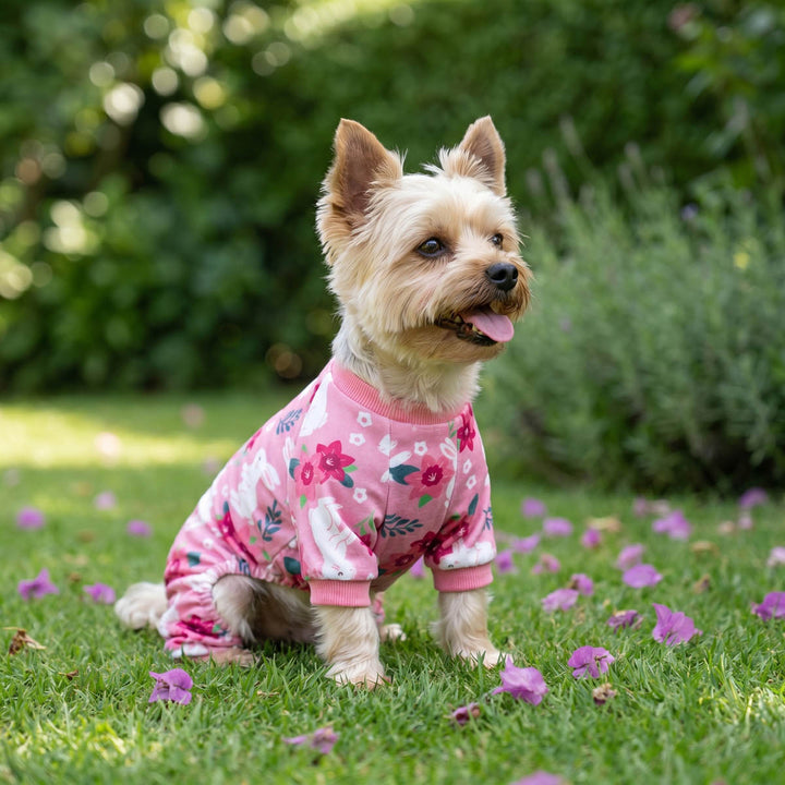 Yokrie sitting on a garden in a pink dog pjs with flower and rabbit prints