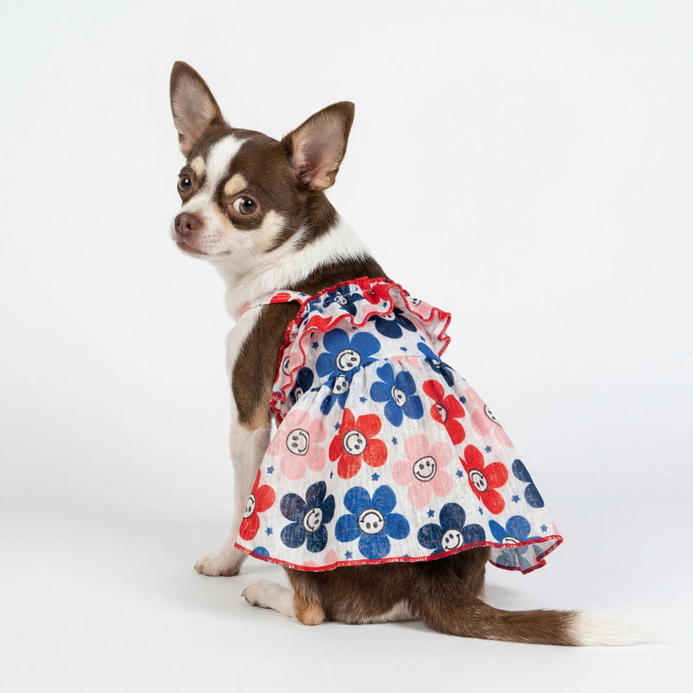 Chihuahua wearing patriotic ruffle dog dress with smiley flower prints