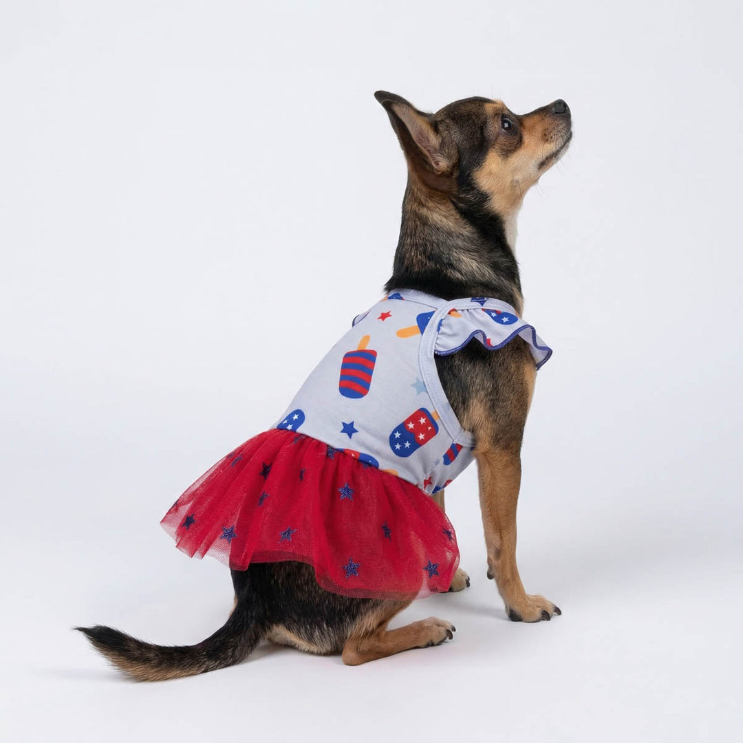 Chihuahua in a ruffle dress for dogs with red and white striped ice pop and star prints 