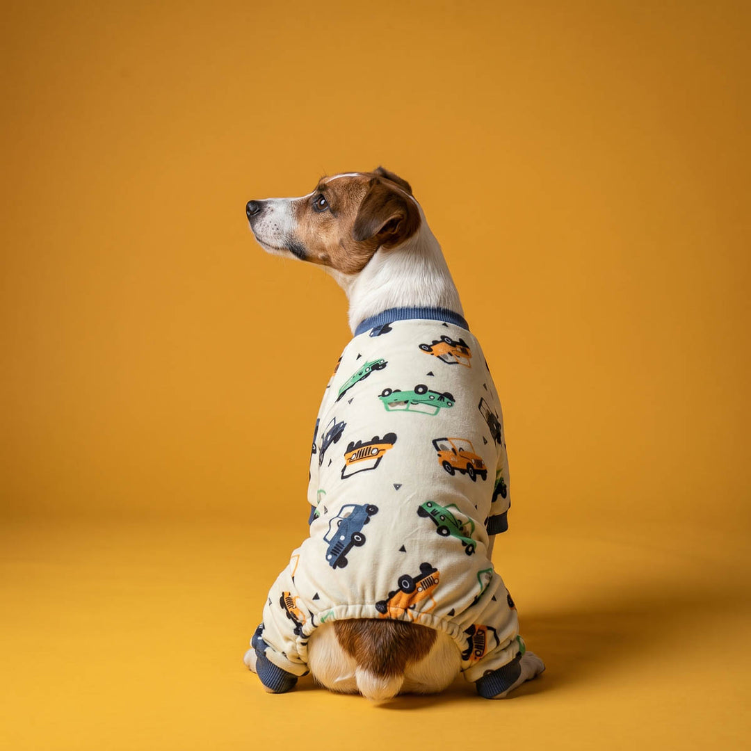 Small dog sitting and looking left side in a soft dog fleece pajamas 