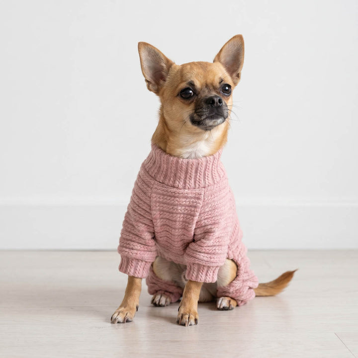 Small dog wearing a pink knitted dog pjs on a light wooden floor with a white background