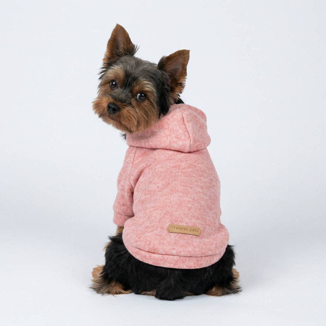 Small Yorkie sitting in a heather dog hoodie featuring a cozy hooded design