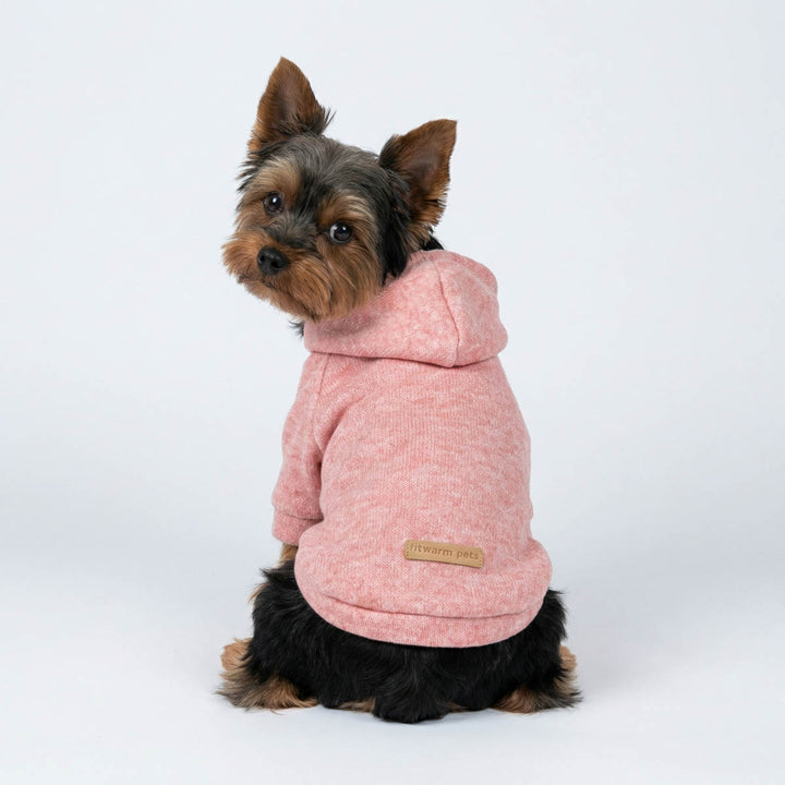 Small Yorkie sitting in a heather dog hoodie featuring a cozy hooded design