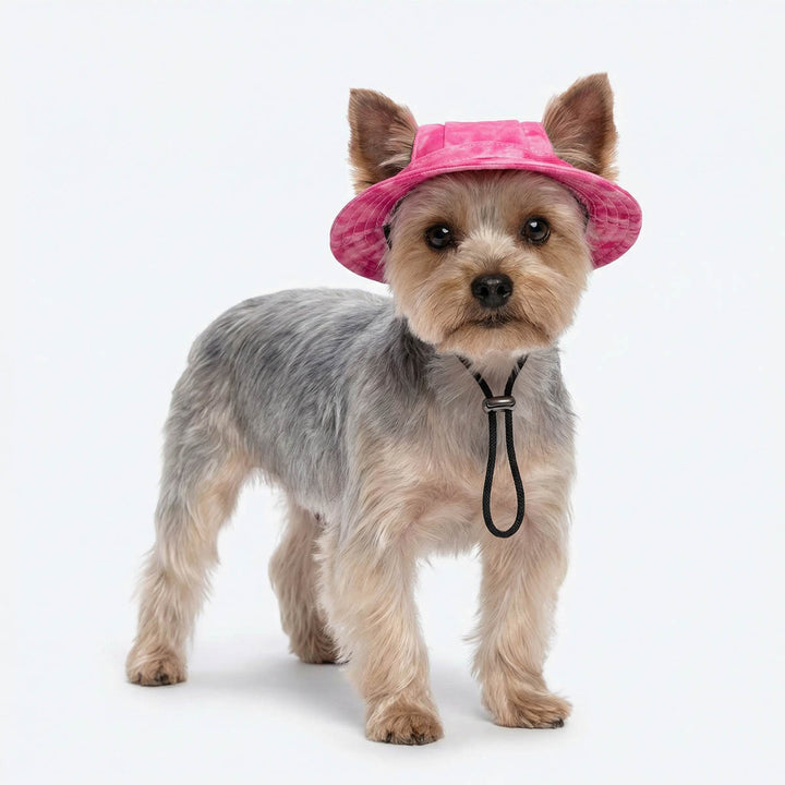 Small dog wearing a pink tie dye dog hat on a white background